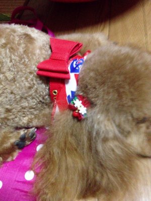 Devan犬用のかわいい首輪 通販で人気の売れ筋犬の首輪 犬用品かわいい犬の服 セレクト通販